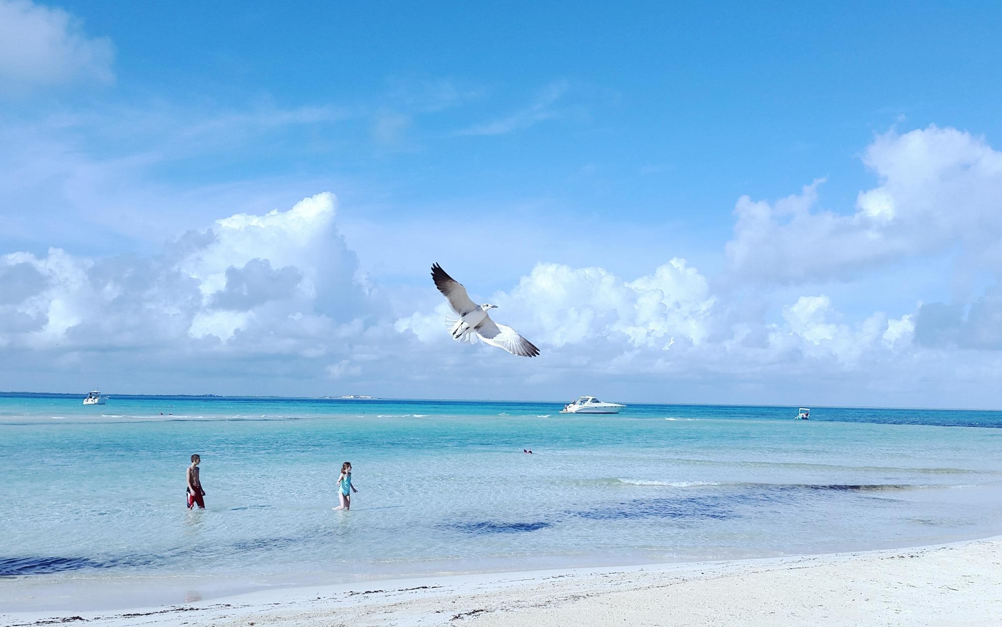 Mia Reef Isla Mujeres Cancun All Inclusive Resort Extérieur photo